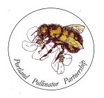 BeeProjectLogoColor